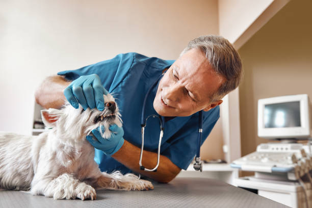 Best Emergency Treatment for Toothache in Monroeville, AL